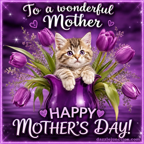 Kitten In Vase