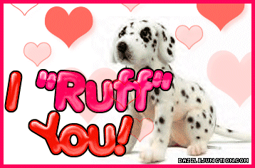 I Ruff You