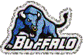 Buffalo Bears