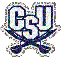 Charleston Southern Buccane NCAA College Logos image