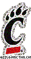 Cincinnati Bearcats