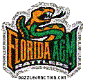 Florida Am Rattlers