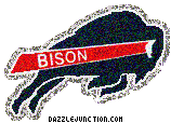 Howard Bison