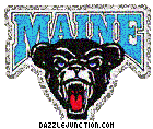 Maine Black Bears