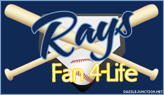 Rays MLB Fans image