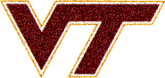 Virginia Tech Hokies NCAA image