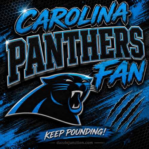 Carolina Panthers Fan NFL Fans image
