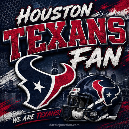 Houston Texans Fan NFL Fans image