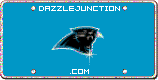 Carolina Panthers