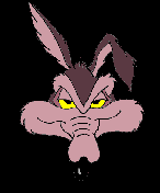 Wile E Coyote