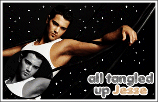 Jesse Metcalfe Celebrity image