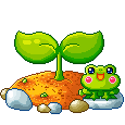 Lily Pad