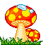 Mushroom