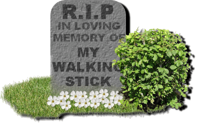 Walking Stick Rip Funny image