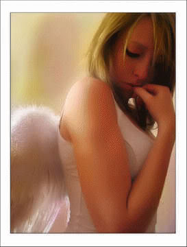 Fairy Wings