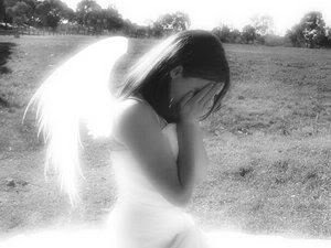 Fariy Cry