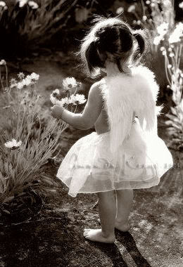 Little Girl Flower Photography image