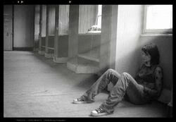 Window Pouter Photography image