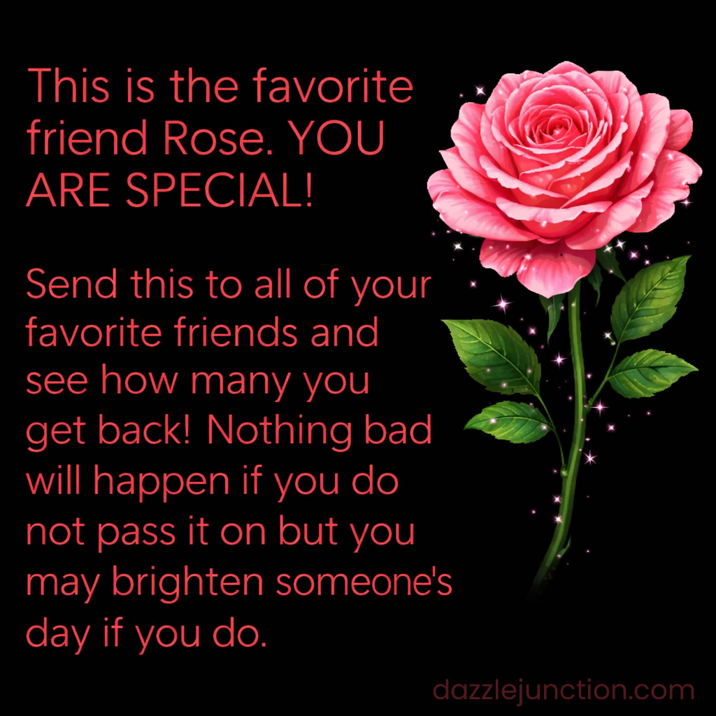Favorite Friend Rose