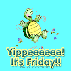 Friday Yippee Turtle