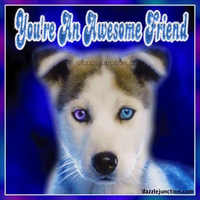 Awesome Friend Dog Eyes