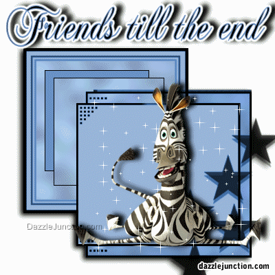 Friends Till End Zebra