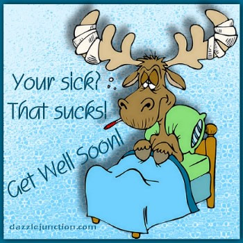 Get Well Moose Dj