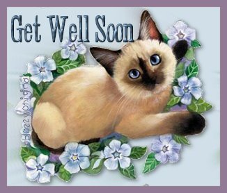 Get Well