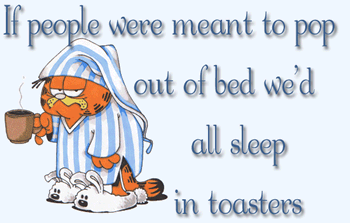 All Sleep In Toasters