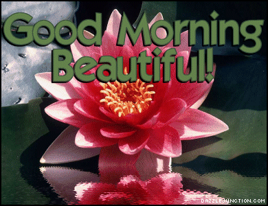 Beautiful Flower Morn