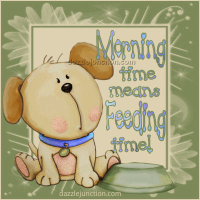 Morning Feeding Time