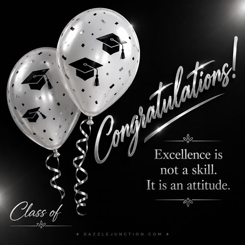 Excellence Attitude