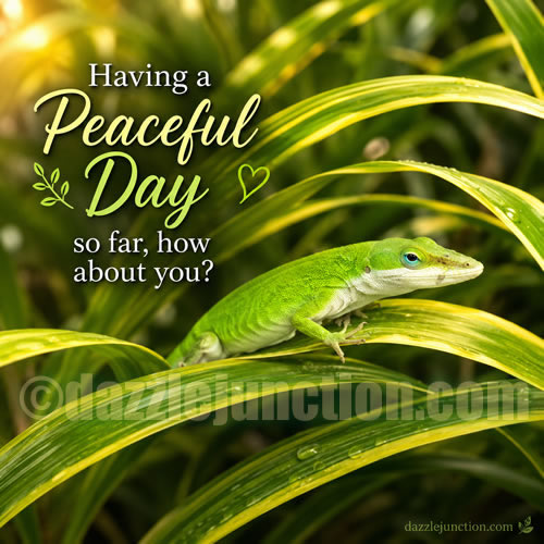 Peaceful Day Anole