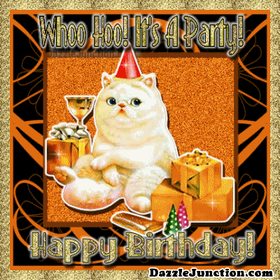 Birthday Party Cat