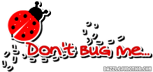 Dont Bug Me