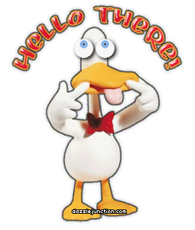 Crazy Eyes Hello There Duck 1