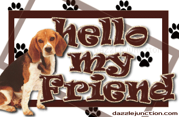 Beagle Hello Friend