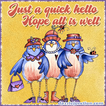 Hello Bird Ladies Dj