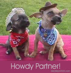 Howdy Partner Dog Cowboys