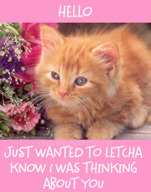 Cat Thinking About You