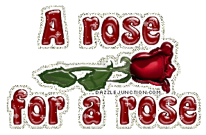 A Rose Is A Rose