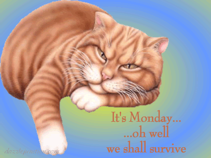 Cat We Shall Survive