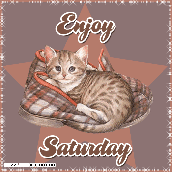Cat Enjoy Saturday