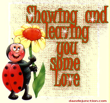 Ladybug Leaving Love