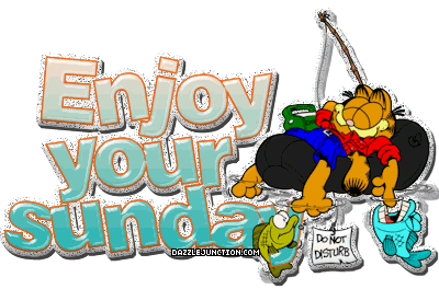 Garfield Enjoy Sunday