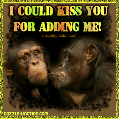 Monkeys Kissing