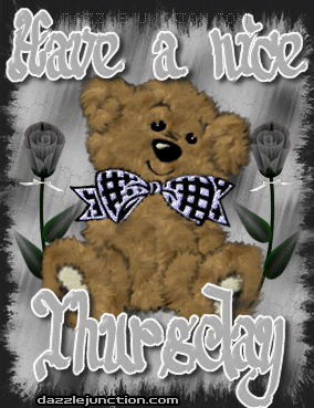 Bear Nice Thursday
