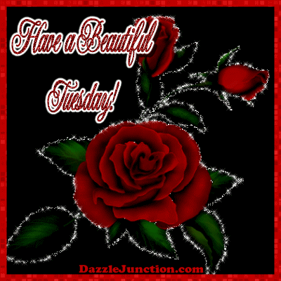 Beautiful Tuesday
