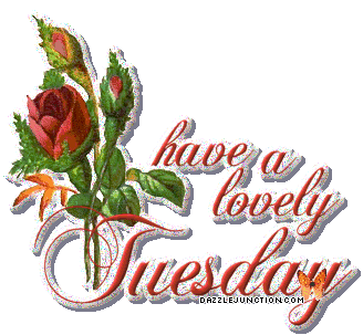 Lovely Tuesday