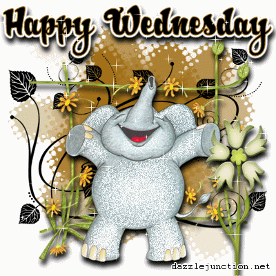 Wednesday Elephant